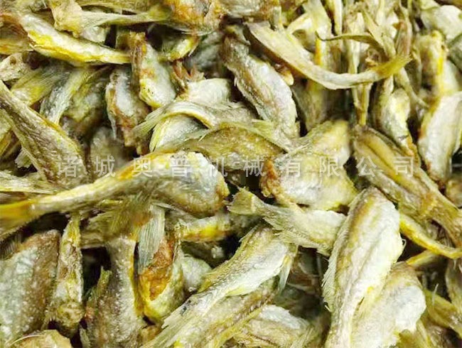 Vacuum fryer for small yellow croaker